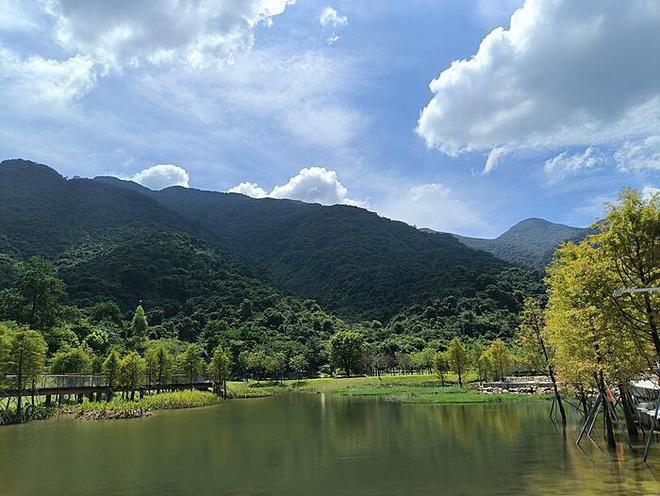 金龙鱼入股山东鲁花：双巨头携手共进，开启食用油市场新篇